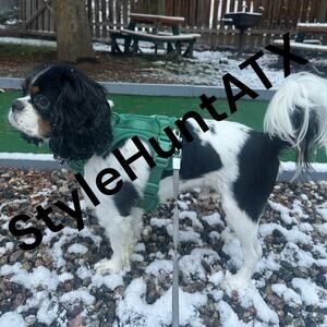 Wild One Adjustable Cushioned Dog Harness - Spruce - Small